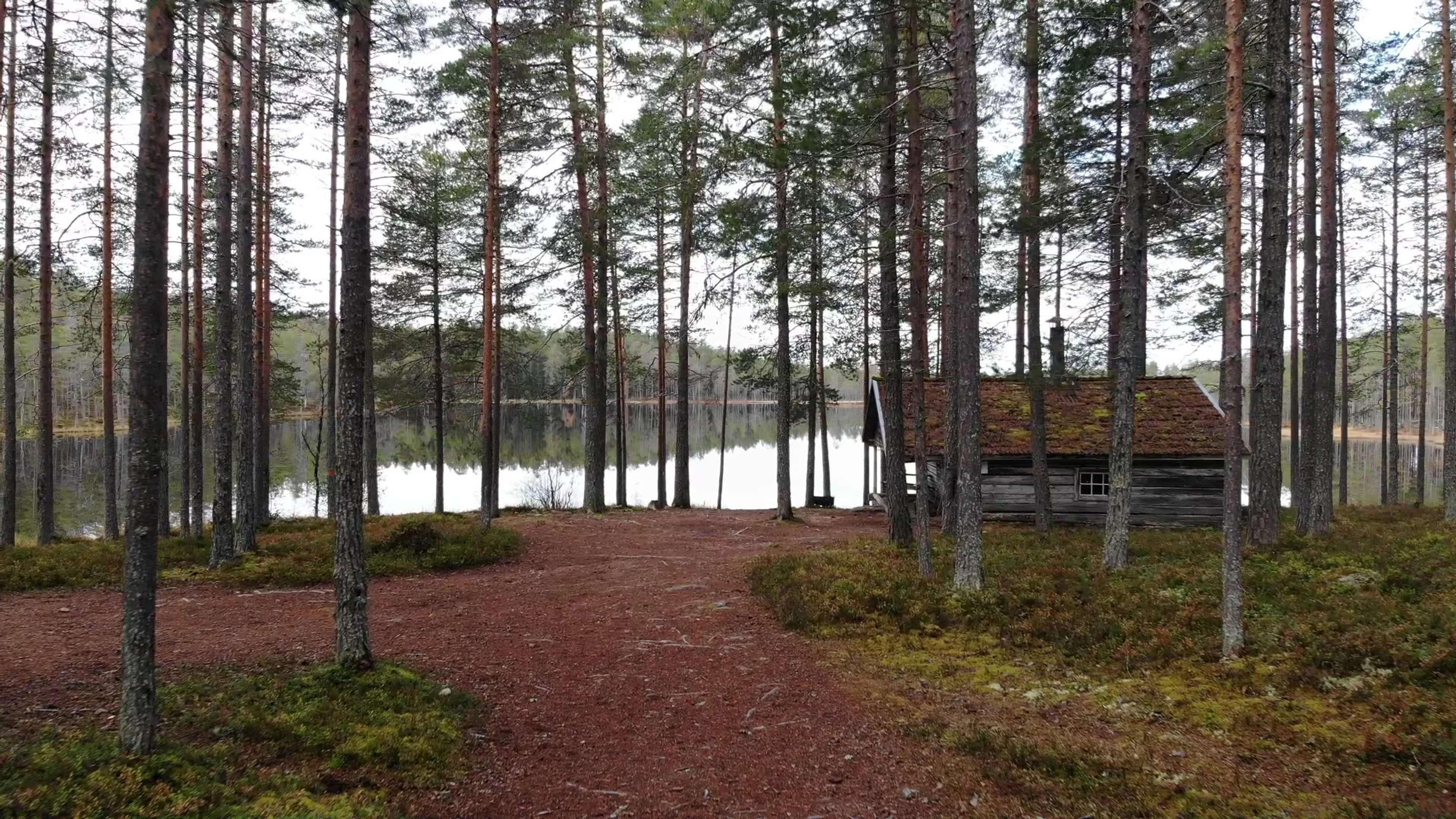 Svartgessi